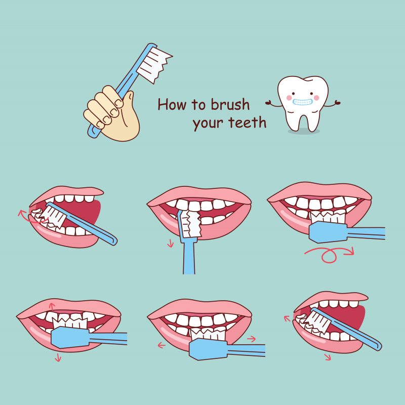 an illustration teaching you how to brush your teeth